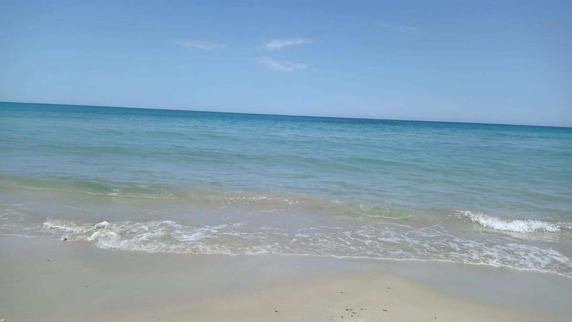 Hotel Venus Bellaria-Igea Marina