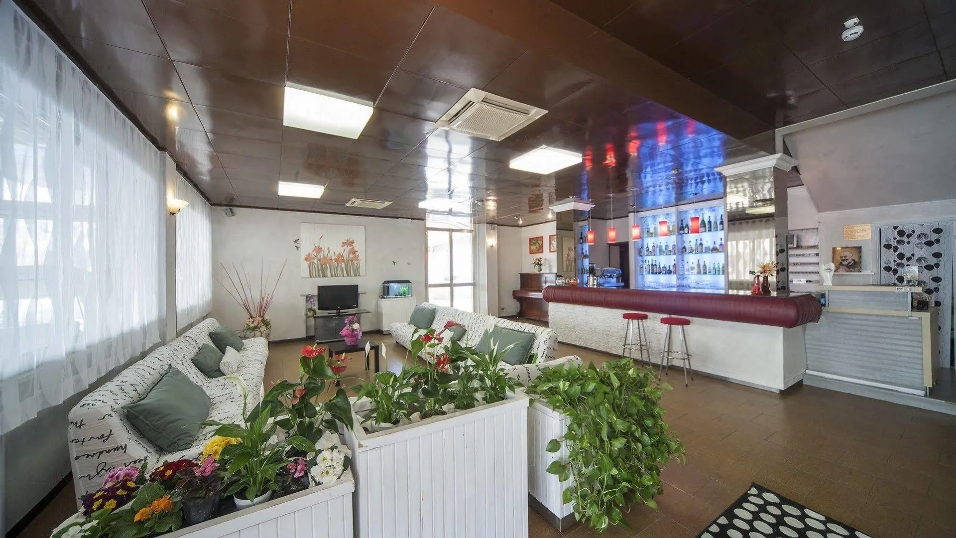 Hotel Venus Bellaria-Igea Marina