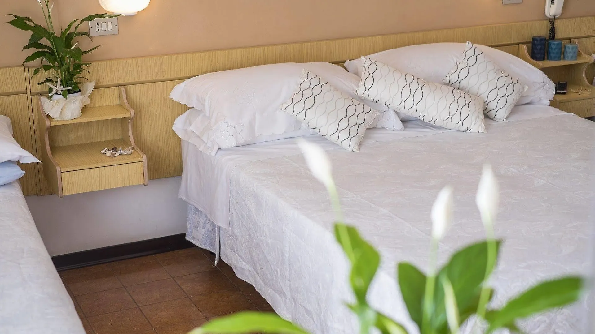 Hotel Venus Bellaria-Igea Marina 3*,